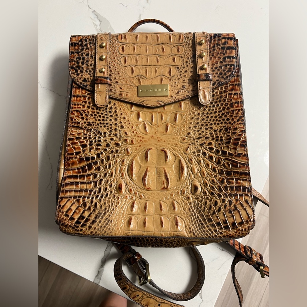 Authentic Brahmin Backpack Purse